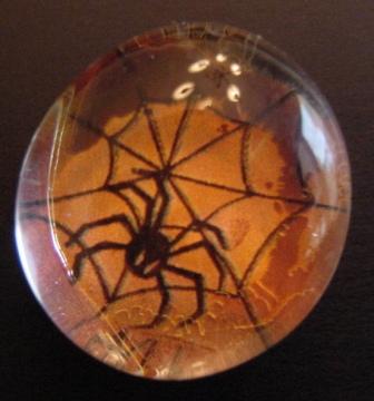 Spider In Web w/Orange Background Magnet Item #M-H001
