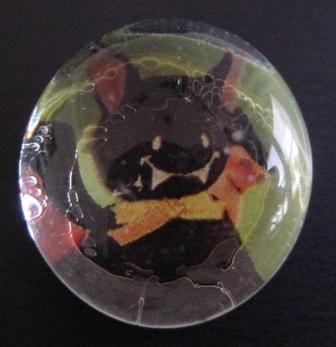 Dracula Black Kitty Cat Magnet Item #M-H004