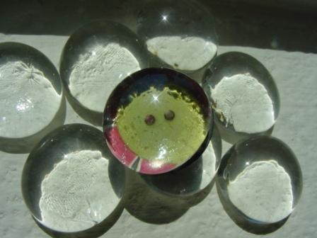 Glass magnet - Item #M0014